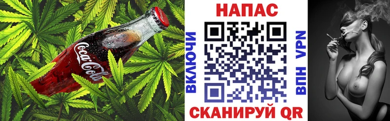 KRAKEN   Прокопьевск  Cannafood конопля 