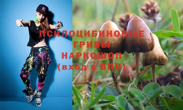 a pvp Михайловка