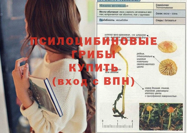a pvp Михайловка