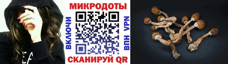 Псилоцибиновые грибы MAGIC MUSHROOMS  OMG как войти  Прокопьевск 