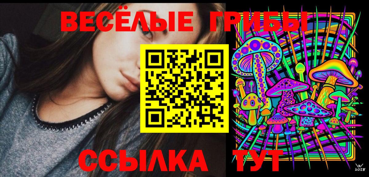Прокопьевск  Псилоцибиновые грибы прущие грибы  купить наркоту  Вход с VPN 
