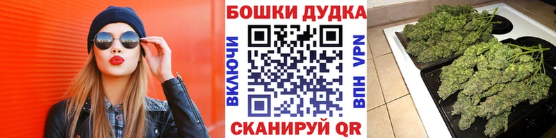 где купить наркоту  Прокопьевск  Марихуана индика 